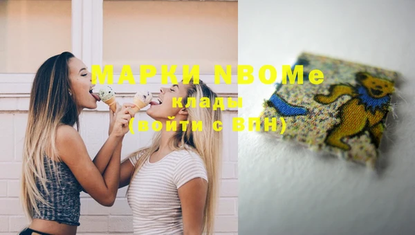 шишки Абинск