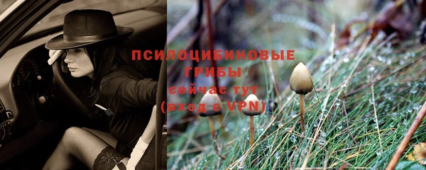 COCAINE Абаза