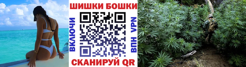 Конопля индика  Усмань 